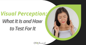 Visual Perception: What It Is and How to Test For It