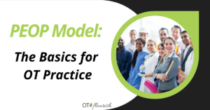 PEOP Model: The Basics for OT Practice