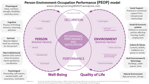 PEOP model in Occupational Therapy | OTflourish.com